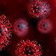 Urgent News About COVID-19 (Coronavirus)